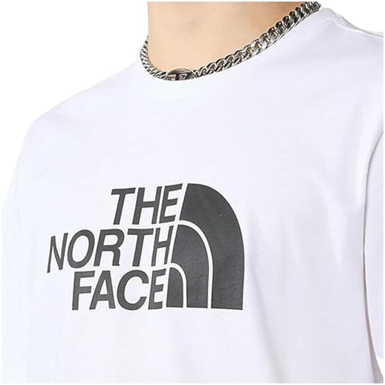 The North Face Men T-Shirt